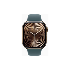 Apple Watch Series 10
